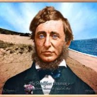 Henry Thoreau (@hdthoreau11) 's Twitter Profile