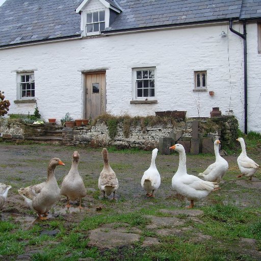 Historic Building Consultant with a passion for the vernacular tradition