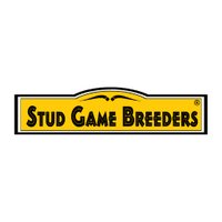 Stud Game Breeders (@studgamebreeder) 's Twitter Profile
