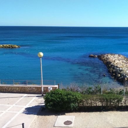 gallegoregalado's profile picture. 