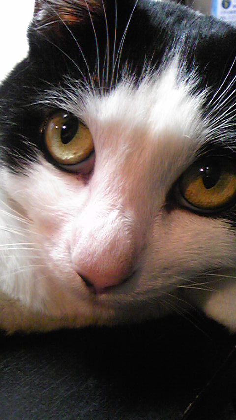 mirikimu's profile picture. 編集者&ライター。大手編プロ勤務後、フリー。2006年からフリー編集者による制作ユニット「クロロス」に参加。2018年株式会社文道設立。同社取締役。共著書に『「文章術のベストセラー100冊」のポイントを1冊にまとめてみた。』『「話し方のベストセラー100冊」のポイントを1冊にまとめてみた。』（いずれも日経BP刊）。