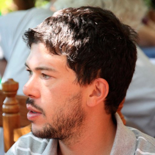 French and Chilean. Physicist, energy technology analyst. Renewables, hydrogen, environment modeling.