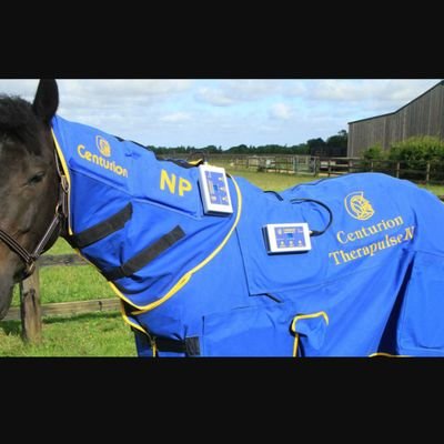 Arthur Silvera
Centurion Systems
Equine Specialist
732-322-0064-USA
647-857-4797-Canada
Silveraart@yahoo.ca