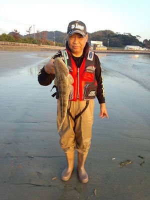 YASUNORIFURUI's profile picture. 