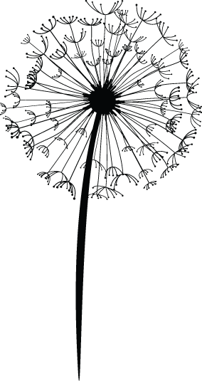 itsyourtimeca's profile picture. Virtual Business Support Services