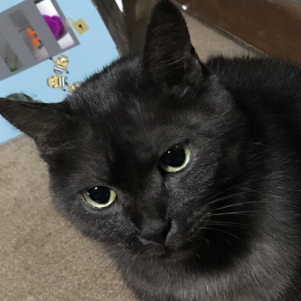 だんたま