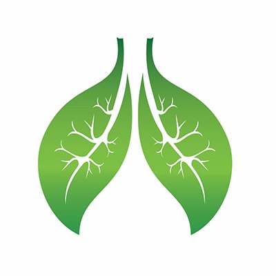 Improving lung health and reducing the impact of lung disease through: Information & support services- Education & training - Research - Advocacy & awareness