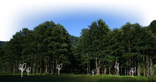 adozentrees's profile picture. Bringing strategic philanthropy to small companies