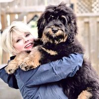 gayle frank🇨🇦(@dogmagayle) 's Twitter Profile Photo