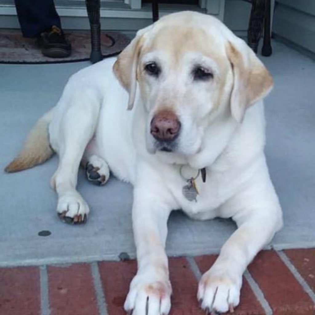 bgp1949's profile picture. RN/MSN - ALL EVIL NEEDS TO WIN IS A FEW GOOD PEOPLE TO DO NOTHING WIFE OF A VV USCG ALL LIVES MATTER ❤️ COUNTRY GOD WINS IN THE END PRONOUNS I/TOLD/YOU/SO