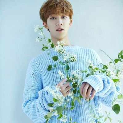 nuyin...13...MY....little of CARAT since 2015....MMPM...yours faithfully...♥♥