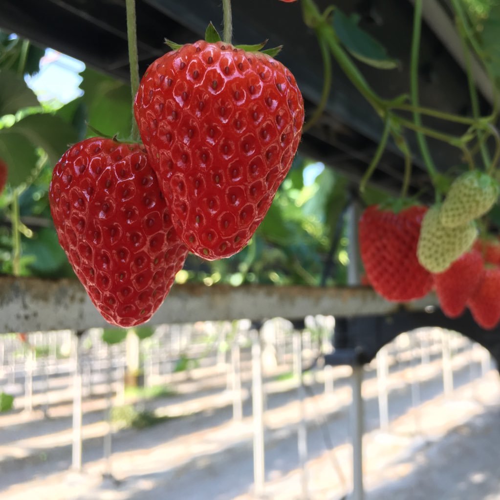 mai1011yama's profile picture. 年中、小1の男児育児/共働き家庭/毎日がはちゃめちゃ/今を生きる派がゆえ、やりたいことが続かない/無断フォロー失礼します