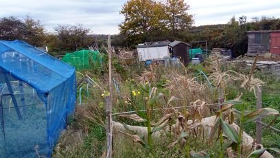 An urban allotment holder since October 2017. Follow the transformation of plots 15 and 9. Organically grown fruit and veg. Recycling and upcycling on the plot.