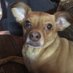 Cherry Doster (@artdoster) Twitter profile photo Cherry Doster (@artdoster) Twitter profile photo