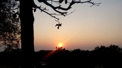 amesecrete's profile picture. Bollywood Buff, Music Lover, Loves to Travel & Explore, Digital Buff, Book Worm, Creative Geek