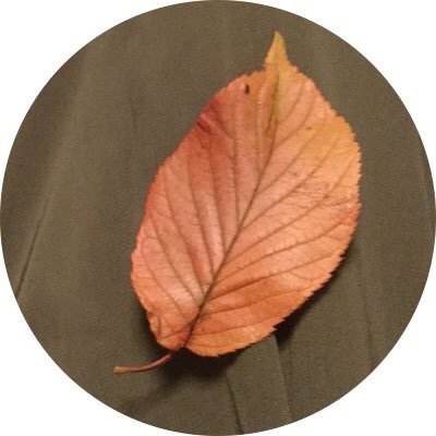 湯のみ 移動さんのプロフィール画像