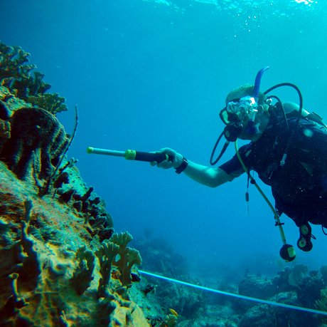 Researcher in Marine Biology and Bioinformatics, working on tropical and coldwater coral microbes and part of the Bertarelli Programme in Marine Science.