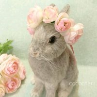 cococheri〈ココシェリ〉 (@cococherifelt) 's Twitter Profile Photo