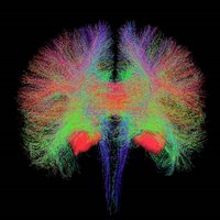 Edinburgh Imaging 💙 (@edinuniimaging) 's Twitter Profile