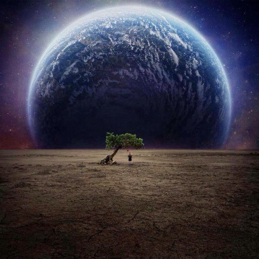 deconsommation's profile picture. #Transition #BOYCOTT #Résilience🐌
Contribuer au Wiki #Deconsommation🧐
Résister à l'#Écocide🌍🐛🐝🐅🐟🦈
Faire pression sur #Lobbys, #marques et produits criminels ☠️