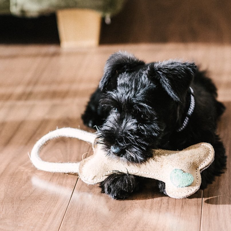 sumiii222's profile picture. 大阪で企画、クリエイティブ、広告、データ解析などをしています。 BigQuery, GA4, Tableau