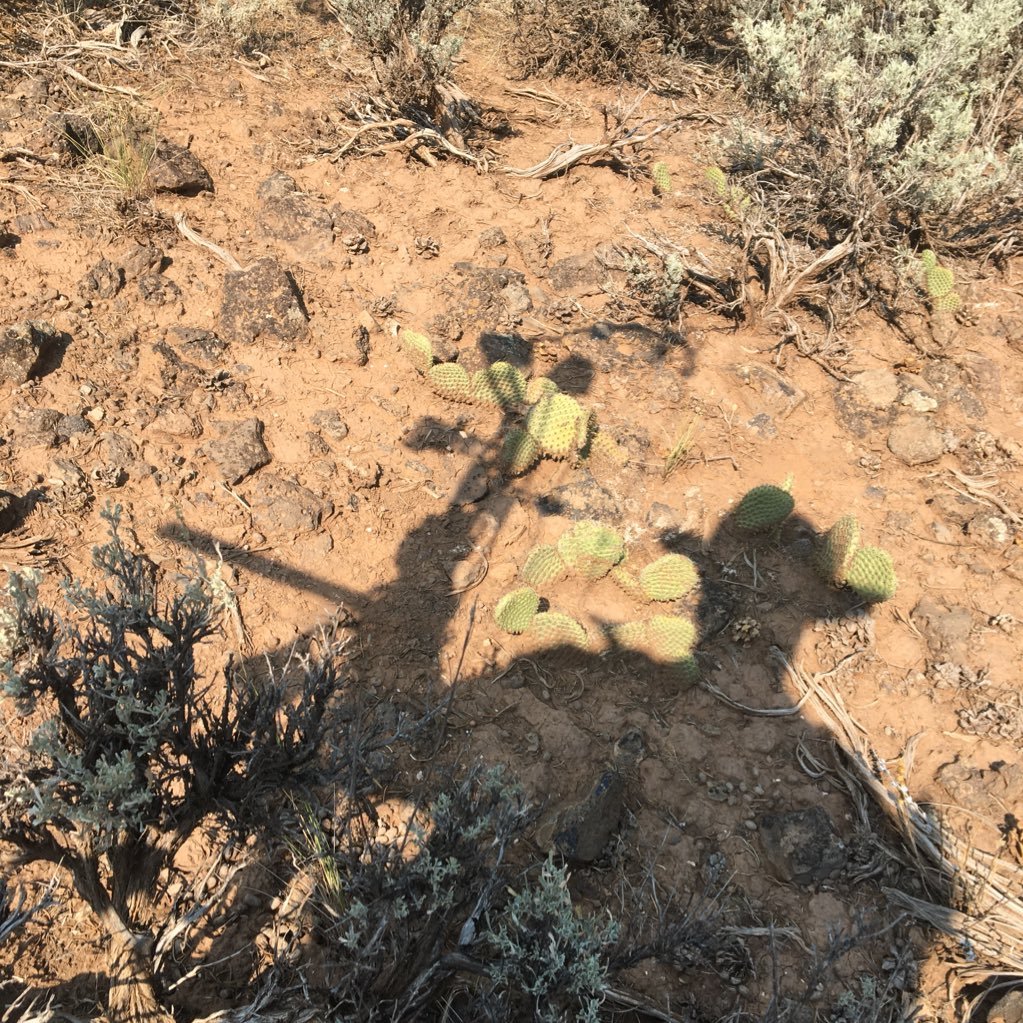 kurt536's profile picture. 