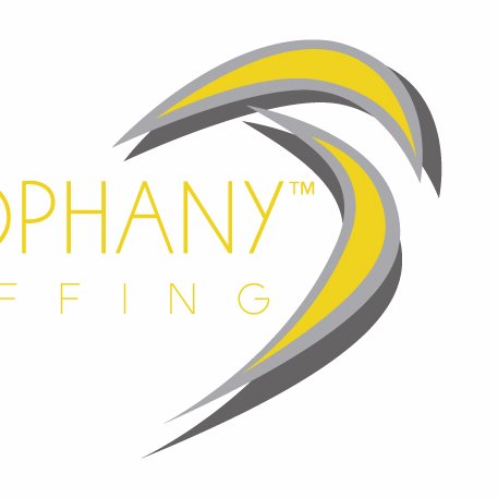 we are a boutique staffing firm specializing in PERMANENT placement of everyone and everything Chicago land!!!