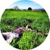 Xavi Perez (@xaviperez84) Twitter profile photo Xavi Perez (@xaviperez84) Twitter profile photo