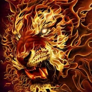 KingEmperor888's profile picture. Nothing I say is financial advice, purely for entertainment purposes only. Consult a financial planner if you need advice.