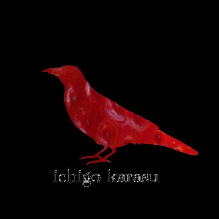 苺鴉(いちごからす)さんのプロフィール画像