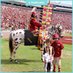 GoNoles (@staceywood1) Twitter profile photo