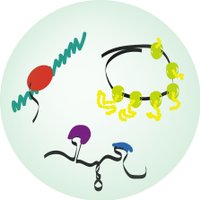 Jagannathan Lab (@jagannathanlab) 's Twitter Profile