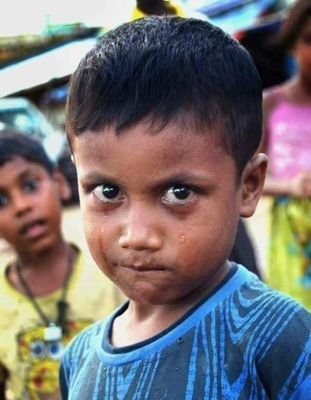 RoMohammadRohi1's profile picture. A Rohingya Youth