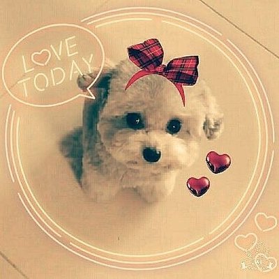 ミル姉 (@milkylady11301) / X