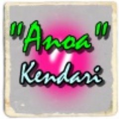 erwinslank77's profile picture. laki