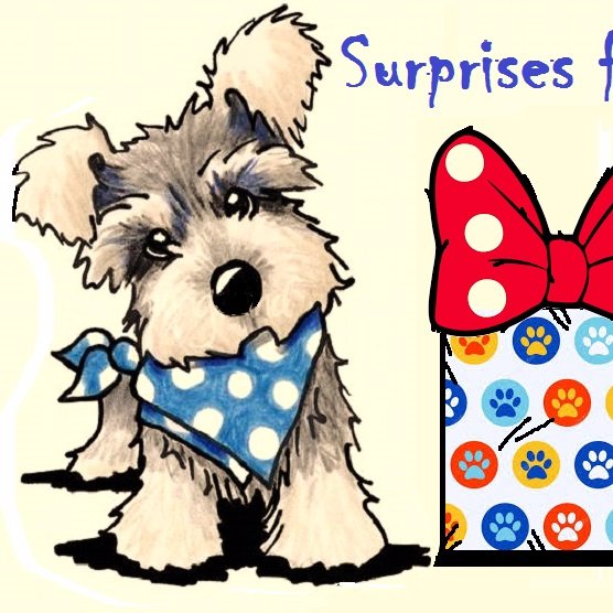 Es una caja sorpresa para tu mascota (perro y gato) tae 5 productos en cada caja que incluye snacks, juguetes y otras sorpresas. Domicilios sin ningún costo.