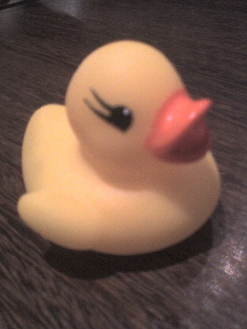 algiani's profile picture. 