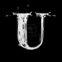 Usman Rahim - @usmanr555 - Twitter