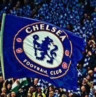 ismailMagash's profile picture. Chelsea is the team, blue is our colour.