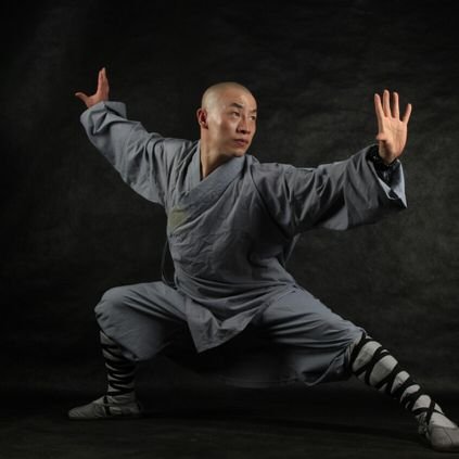 shaolinmonk__'s profile picture. When it comes to emotions, even great heroes can be idiots.