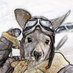 Hops n Barks ๐จ๐ฆ๐ณ๐ฟ (@oneroodown) Twitter profile photo Hops n Barks ๐จ๐ฆ๐ณ๐ฟ (@oneroodown) Twitter profile photo