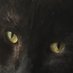 me myself & eye (@luckylucillle) Twitter profile photo me myself & eye (@luckylucillle) Twitter profile photo