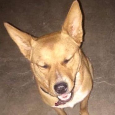 ericebol's profile picture. Because my kid said " stay off Twitter!"