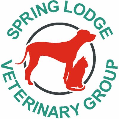 Springlodgevets Springlodgevets Twitter
