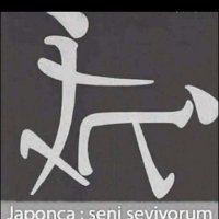 Hakan Gemici (@burcumda) Twitter profile photo