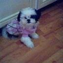 Sierra Noel Tate - @oreofan65jb - Twitter