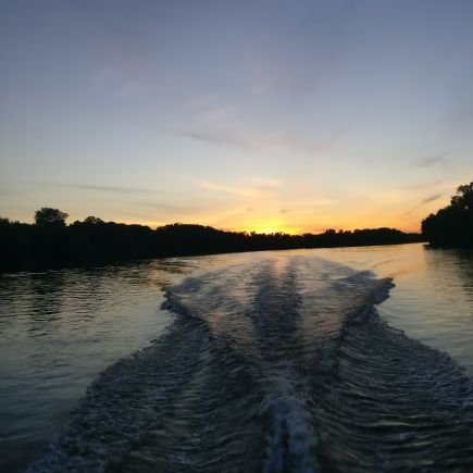 Jigglestiks's profile picture. 