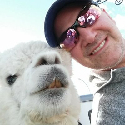 j_dirt_'s profile picture. I believe the spork is the greatest invention of all time, and Metallica 'One' is the perfect song. #NYR #RepBx #NYGiants #SHUBB #NUFC