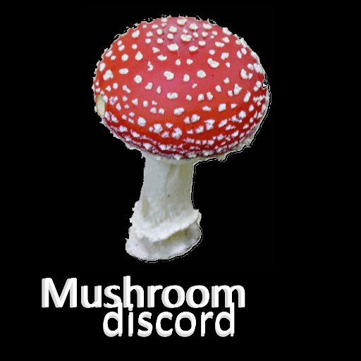 MushrumDiscord's profile picture. Mushrum Discord je český server, na který se můžete připojit i vy! https://t.co/GWBMapn1ev