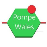Pompe Wales(@PompeWales) 's Twitter Profile Photo